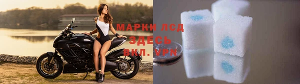 apvp Каменногорск