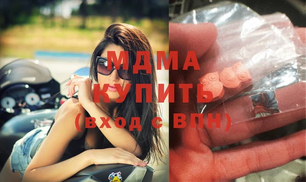 МДПВ Каменка