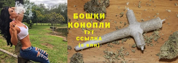 МДПВ Каменка