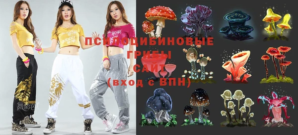 МДПВ Карпинск