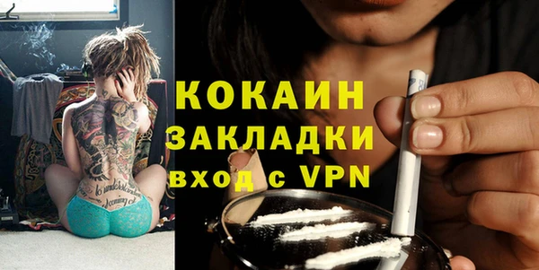 МДПВ Каменка