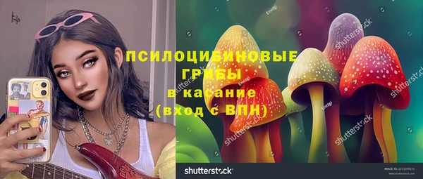 меф Инта