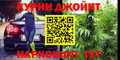 сатива Канаш